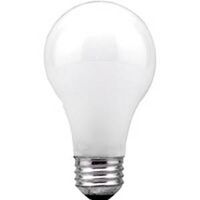 Incandescent Frosted Bulb, 60 Watts