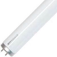 Fluorescent Cool White Bulb, 14 Watt