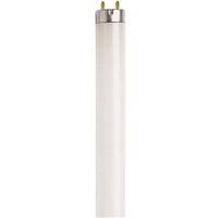 fluorescent cool white bulb, 15 watt