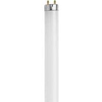 fluorescent cool white bulb, 15 watt