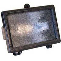 Halogen Security Light