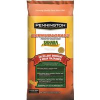 Pennington 100081187 Grass Seed, Bermuda, Sahara, 15 Lb