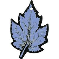 Automotive Expressions Car Air Freshener, New Car Scent
