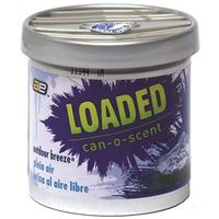 Loaded Can-O-Scent 804117 Auto Expression Air Freshener