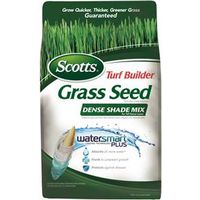 scotts turf builder tall fescue grass seed, 3 lbs