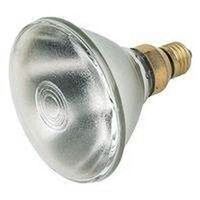 Indoor Outdoor Halogen Spot Bulb, 100 Watts