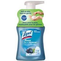 Lysol Touch of Foam 00318-1CG Anti-Bacterial Hand Wash