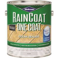 0539551 - RAINCOAT OIL/BASE CLEAR GL