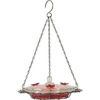 Glass Oasis Hummingbird Feeder, 8 oz