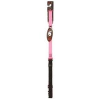 LEASH DOG 3/4IN 6FT GUM PINK  