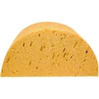 horse half moon sponge, 9 1/2in.