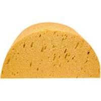Horse Half Moon Sponge, 9 1/2in.