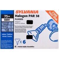 Halogen Floodlight Bulb, 75 Watt