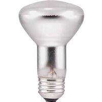 Reflector Floodlight Bulb, 45W