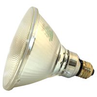 1003227 - 80W PAR38 HALOGEN SPOT LAMP