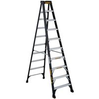 LADDER STEP TYPE 1A 10 FT     