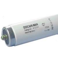 eco fluorescent low mercury  light bulb, 59 watts