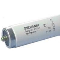 Eco Fluorescent Low Mercury  Light Bulb, 59 Watts