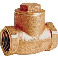 brass check valve, 2in.