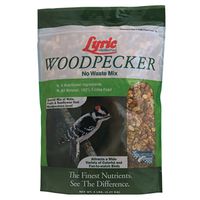 lyric woodpecker birdfeed   