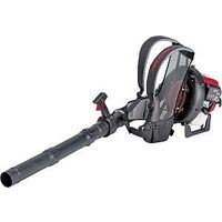 4 Cycle Backpack Leaf Blower, 32 cc