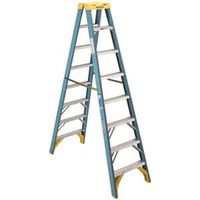 Werner T6008 Twin Ladder