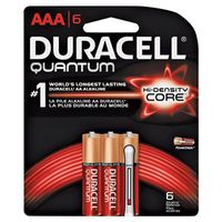 Duracell 66252 Alkaline Battery