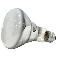 Double Life Flood Bulb, 65 Watt