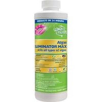Algaecide Plus Pool Chemicals, 1 Qt