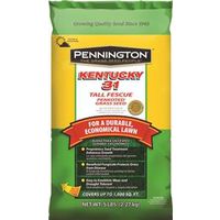 1451871 - KENTUCKY 31 PENKOTED 5#