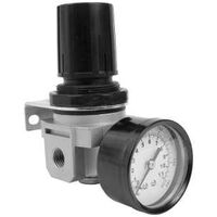 Industrial Regulator & Gauge, 1/4in.