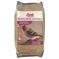 lyric sunflower kernel bird seed, 25 lb 