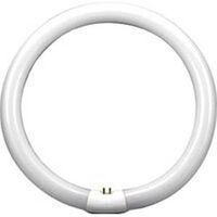 Rapid Start Circular Fluorescent Light Bulb, 32W 12in.
