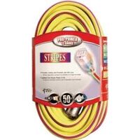 Extension Cord, 12/3 Gauge x 50 Purple & Gold