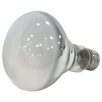 1662857 - 50W BR30 HALOGEN FLOOD BULB