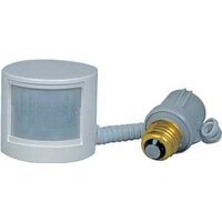 Outdoor Motion Activated Light, Grey