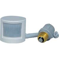 Outdoor Motion Activated Light, White