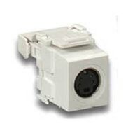 s-video jack for media network, white