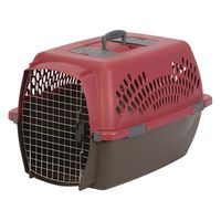 2019198-PET TAXI LARGE