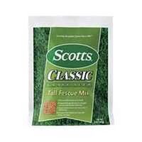 classic tall fescue, 20 lb   