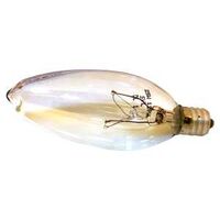 double life twist top clear bulb, 25 watt