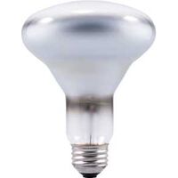 Flood Bulbs Frost, 65 Watt
