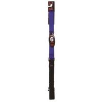 LEASH DOG 1IN 6FT BLUE        