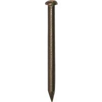 2175289 - ESCUTCHEON PIN BRASS 1/2 X#18