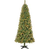 2253102 - 7-1/2FT SCRANTON FIR