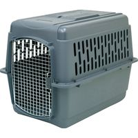 2291615 - PET PORTER DARK GRAY 2XL