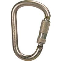 Steel Carabiner, 1in.