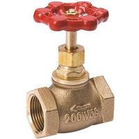 2410611 - 3/8 IPS BRASS GLOBE VALVE NL