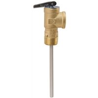 Automatic Temperature & Pressure Relief Valve, 3/4" x 4"