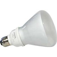 Compact Fluorescent Floodlight Bulb, 16W